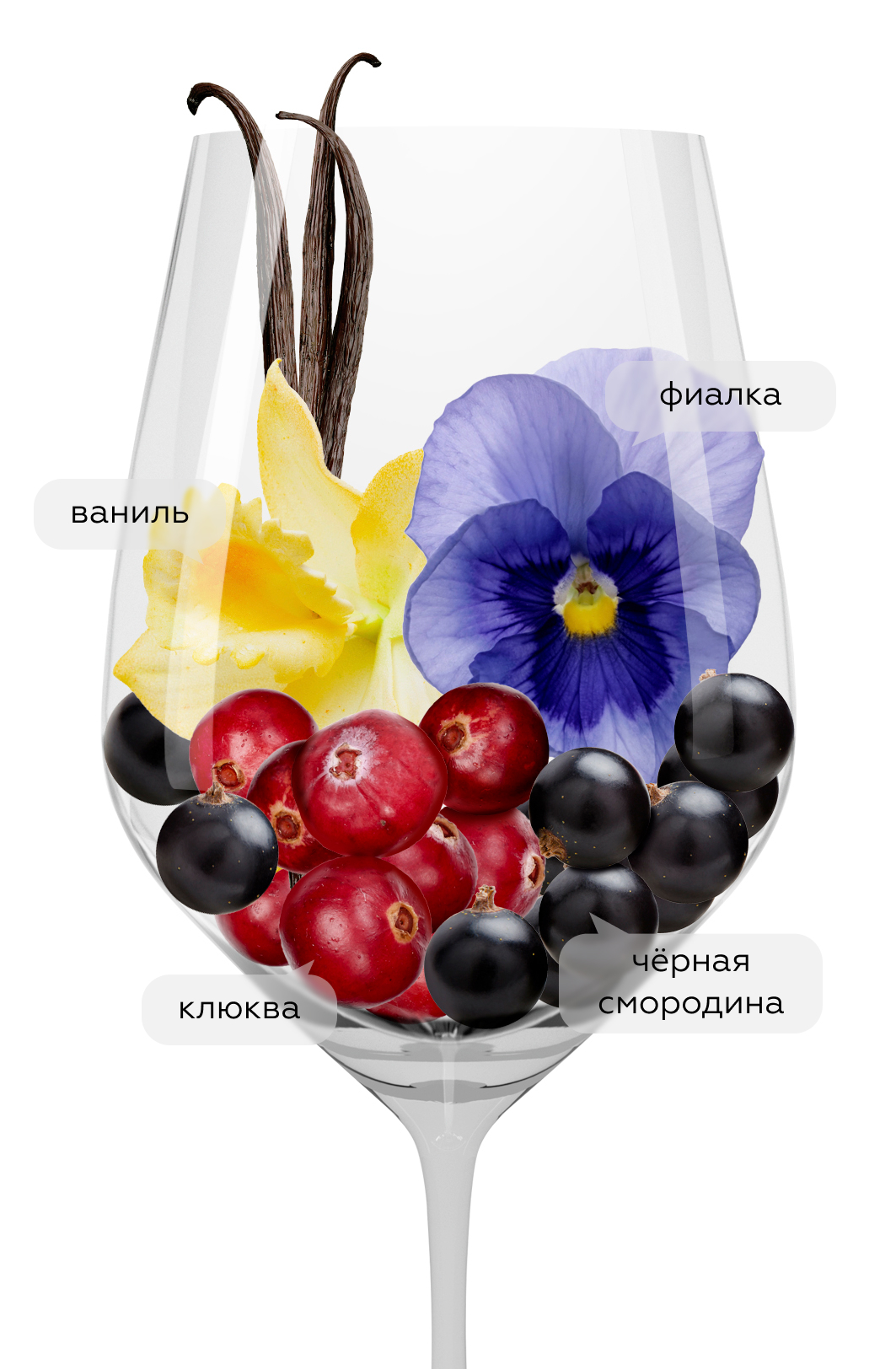 Вино Finca Nueva Vendimia, 2020, (135816), Испания, Риоха, красное, сухое, 0.75 л, Риоха Вендимия, цена 3290 рублей