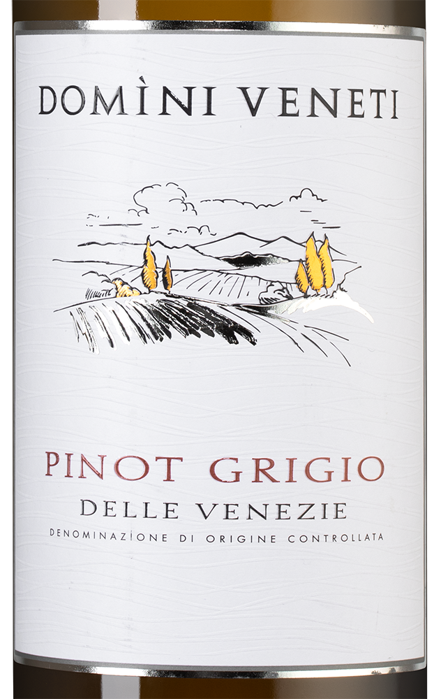Вино Pinot Grigio, Domini Veneti, 2022, (143650), Италия, Венето, белое, полусухое, 0.75 л, Пино Гриджо, цена 2690 рублей