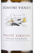 Белые итальянские вина из Венето Pinot Grigio