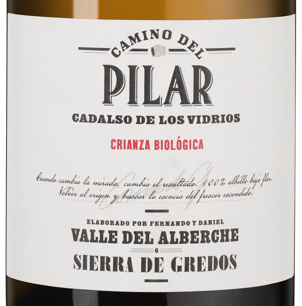 Вино Pilar, Comando G, 2022, 0.5л, (156251), Испания, Мадрид, белое, сухое, 0.5 л, Камино дель Пилар Крианса Биолохика, цена 19990 рублей