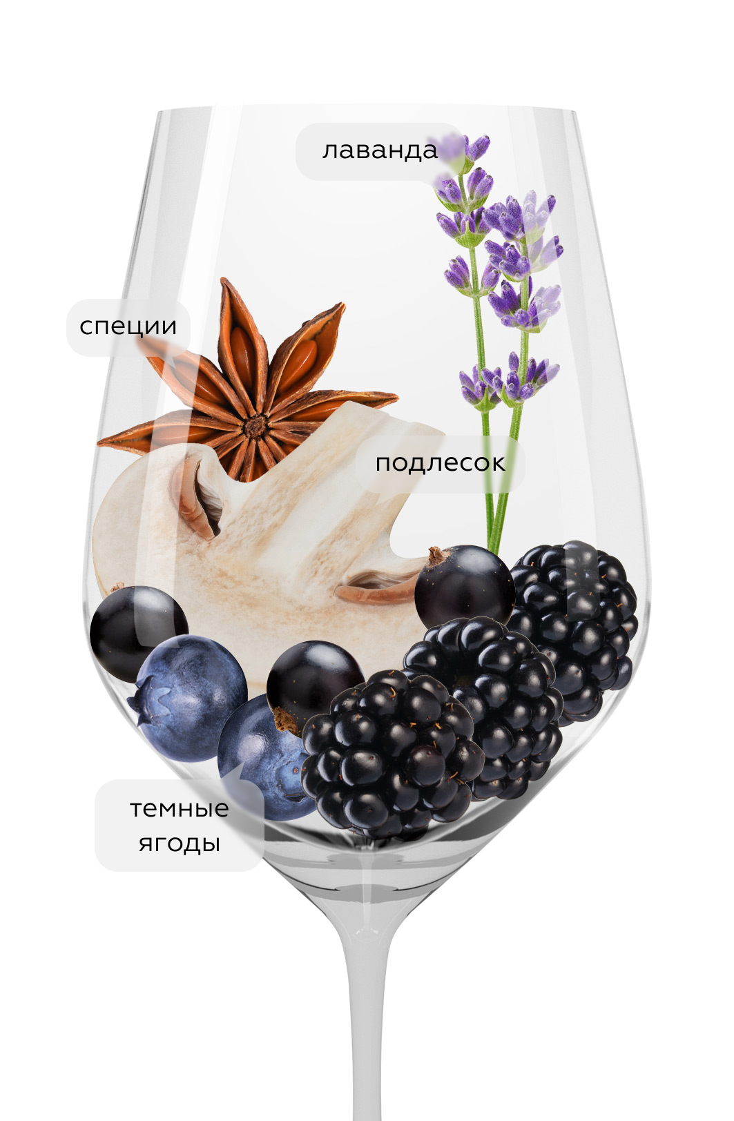 Вино Grenache, David & Nadia, 2021, (139934), Южная Африка, Свортленд, красное, сухое, 0.75 л, Гренаш, цена 7990 рублей