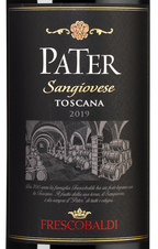 Вино Pater, (124433), красное сухое, 2019 г., 0.75 л, Патер цена 2390 рублей
