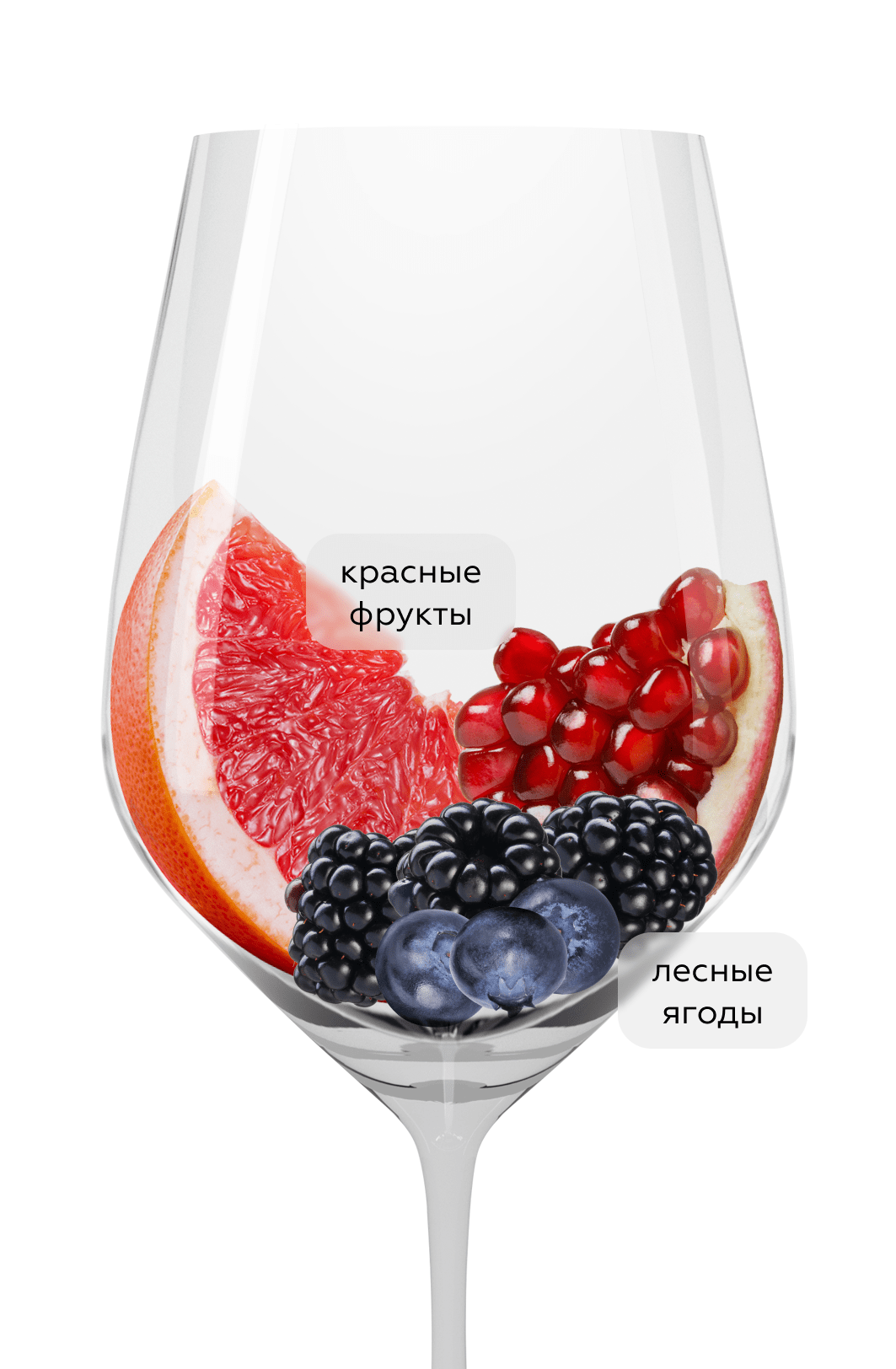 Вино Lacryma Christi Rosso, Feudi di San Gregorio, 2022, (149861), Италия, Кампания, красное, сухое, 0.75 л, Лакрима Кристи Россо, цена 3990 рублей