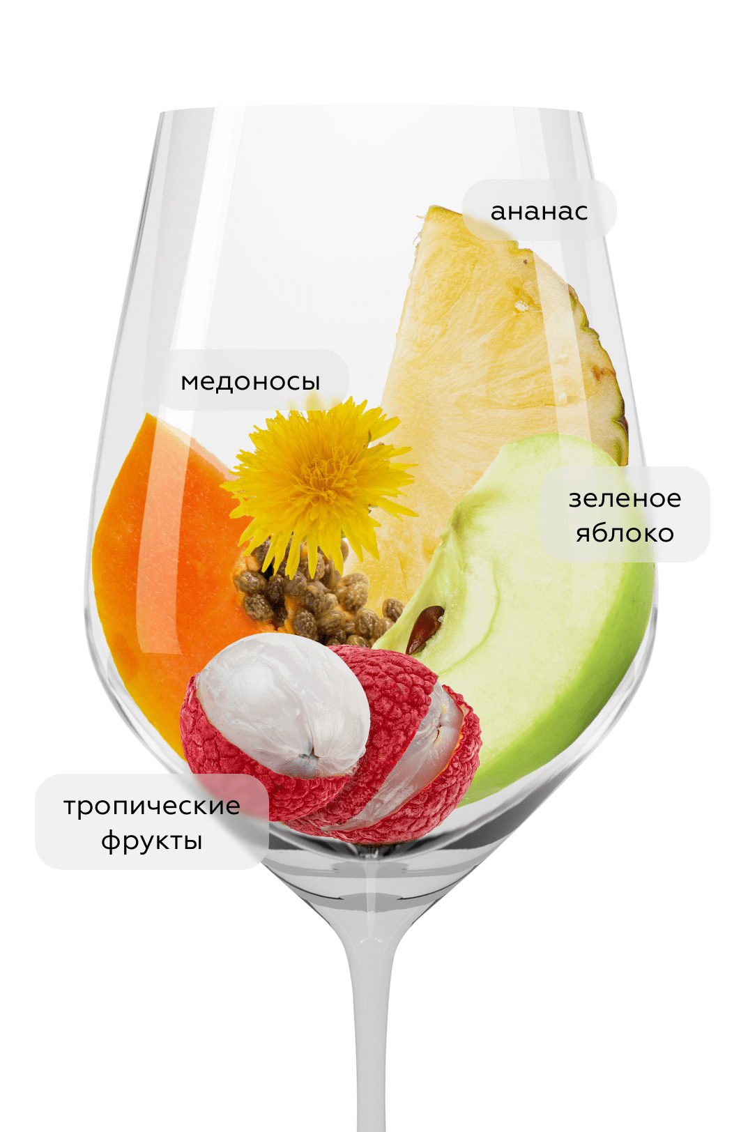 Вино Riesling Konigsmosel, GCF, 2023, (148652), Германия, Мозель, белое, полусладкое, 0.75 л, Рислинг Кёнигсмозель, цена 2240 рублей