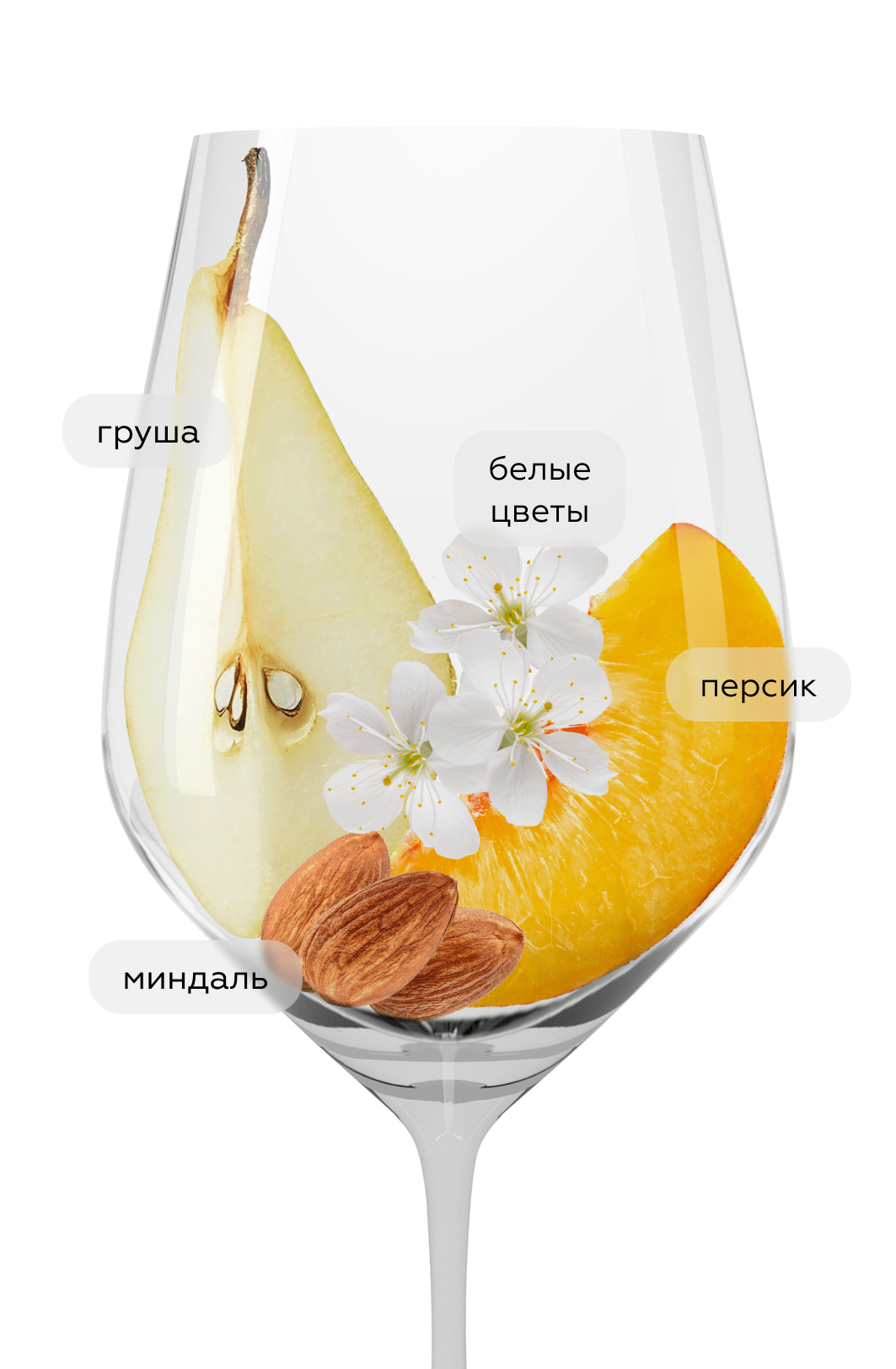 Вино Pinot Grigio Mongris, Marco Felluga, 2021, (137904), Италия, Фриули-Венеция-Джулия, белое, сухое, 0.75 л, Пино Гриджо Монгрис, цена 4990 рублей