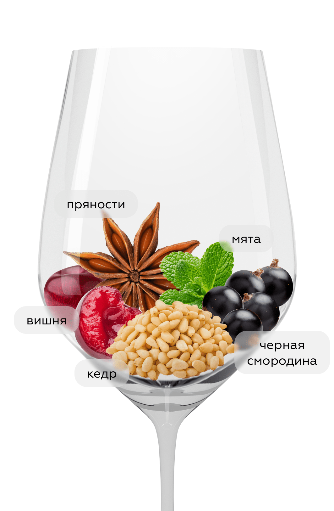 Вино Carolina Reserva Cabernet Sauvignon, Santa Carolina, 2023, (156356), Чили, Центральная Долина, красное, сухое, 0.75 л, Каролина Ресерва Каберне Совиньон, цена 1192 рублей