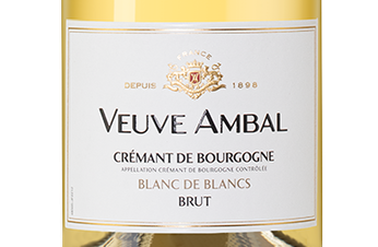 Игристое вино Blanc de Blanc Brut в подарочной упаковке, (142495), gift box в подарочной упаковке, белое брют, 0.75 л, Блан де Блан Брют цена 3490 рублей