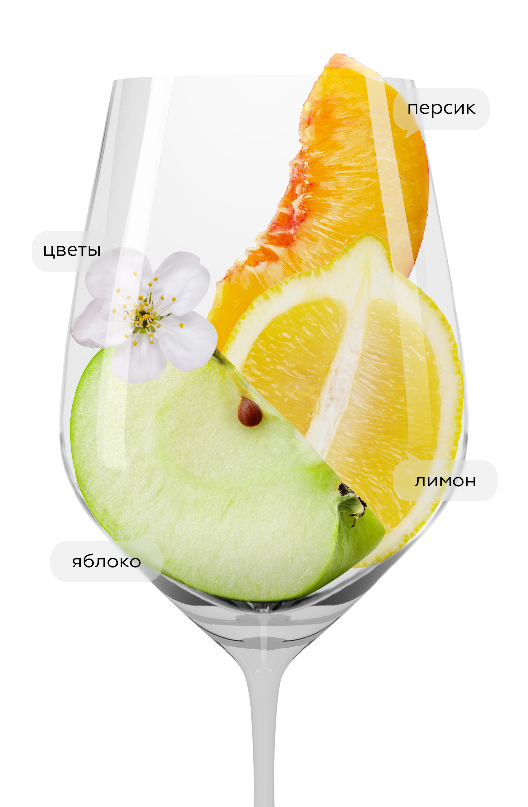 Вино Fontegaia Orvieto Classico, San Marco, 2022, (144717), Италия, Лацио, белое, сухое, 0.75 л, Фонтегайа Орвието Классико, цена 1990 рублей