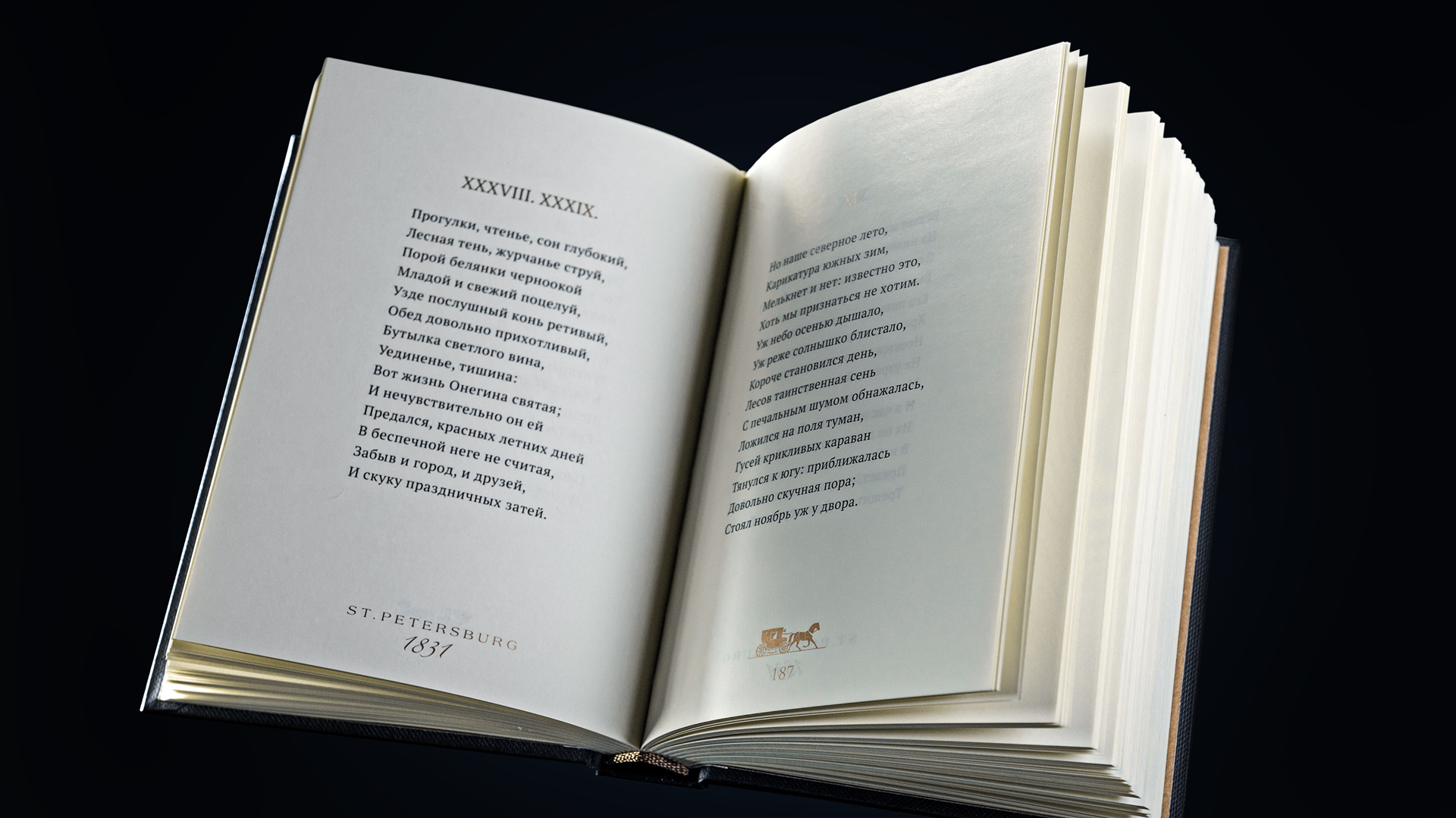 Эксклюзивное издание книги "Евгений Онегин", (102859), Россия, Эксклюзивное издание "Евгений Онегин", цена 500 рублей