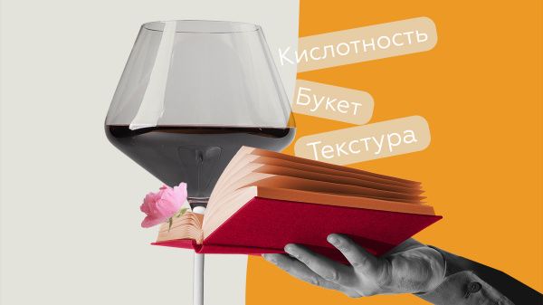 Просто о вине: объясняем винные термины