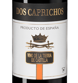 Вино со смородиновым вкусом Dos Caprichos Joven