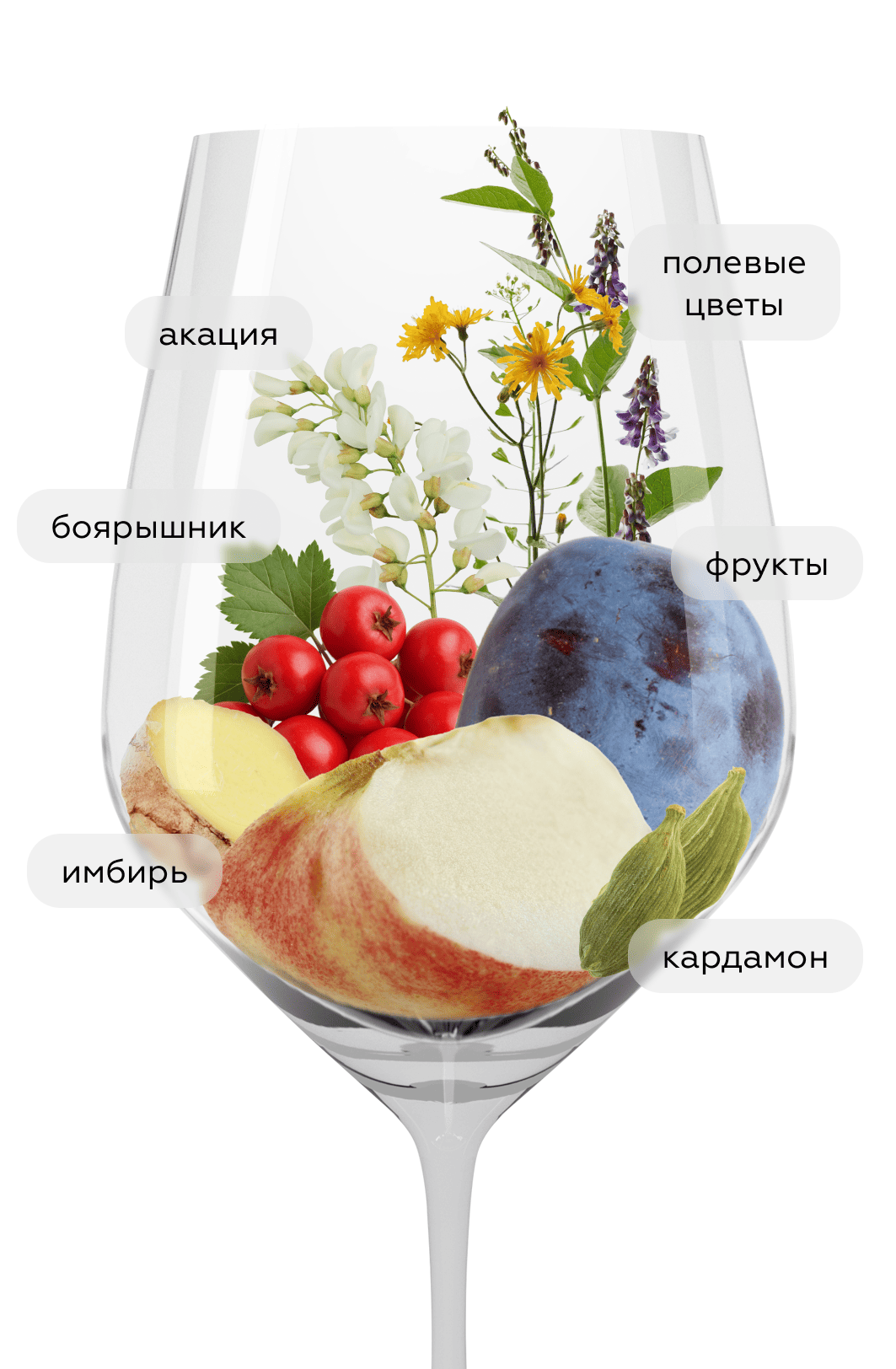 Игристое вино 450 slm, Costadila, 2021, (139800), Италия, Венето, белое, экстра брют, 0.75 л, 450 слм, цена 6490 рублей