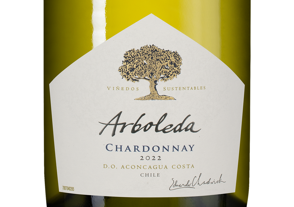 Вино Chardonnay, Vina Arboleda, 2022, (146456), Чили, Аконкагуа, белое, сухое, 0.75 л, Шардоне, цена 4490 рублей
