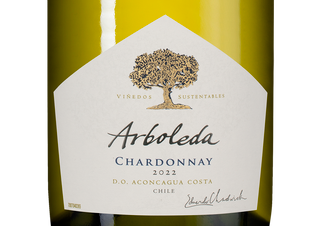 Вино Chardonnay, (146456), белое сухое, 2022, 0.75 л, Шардоне цена 3490 рублей