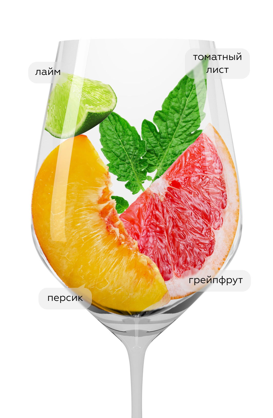 Вино Sobaja Sauvignon, Pradio, 2023, (147263), Италия, Фриули-Венеция-Джулия, белое, сухое, 0.75 л, Собайа Совиньон, цена 2243 рублей