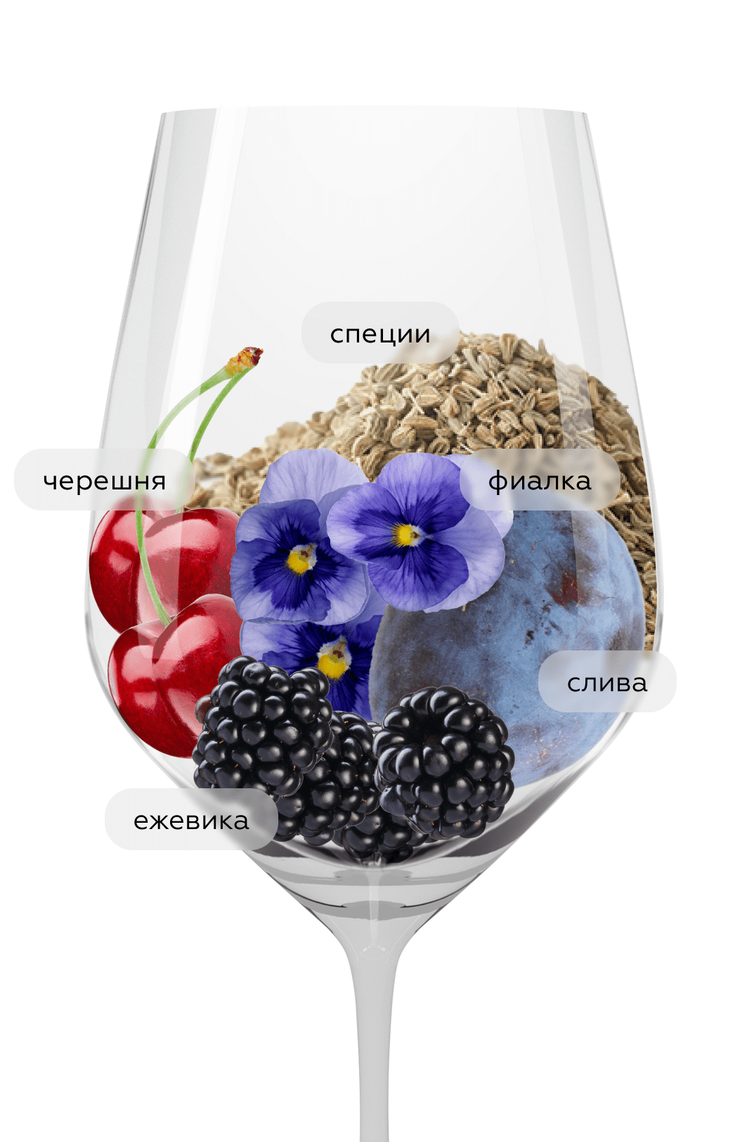 Вино Aydie l'Origine, Chateau d'Aydie, 2021, (145927), Франция, Юго-Запад, красное, сухое, 0.75 л, Эди л'Орижин, цена 3990 рублей