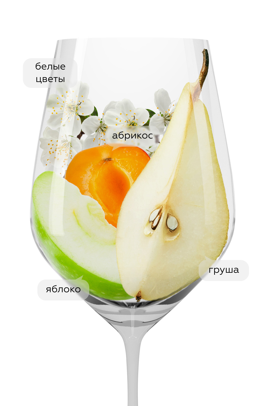 Вино Gavi Il Valentino, La Scolca, 2024, (153941), Италия, Пьемонт, белое, сухое, 0.75 л, Гави Иль Валентино, цена 3190 рублей