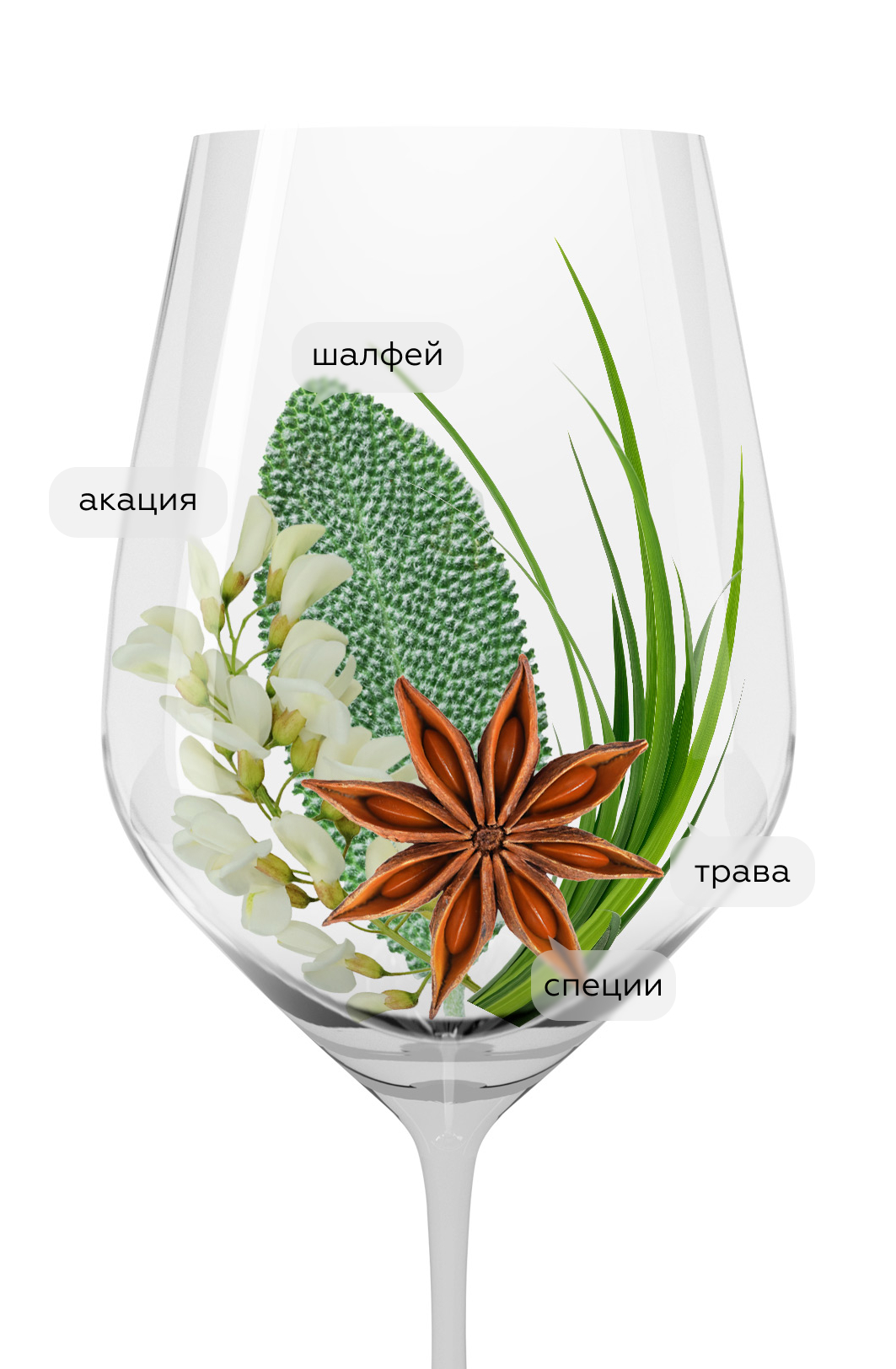 Вино Lafoa Sauvignon, Colterenzio, 2020, (136872), Италия, Трентино-Альто Адидже, белое, сухое, 0.75 л, Лафоа Совиньон, цена 6993 рублей