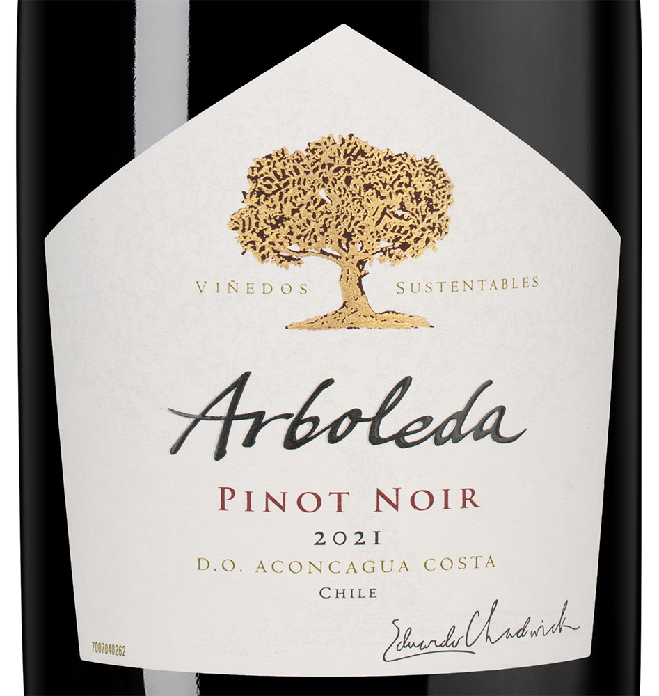 Вино Pinot Noir, Vina Arboleda, 2021, (140578), Чили, Аконкагуа, красное, сухое, 0.75 л, Пино Нуар, цена 5490 рублей