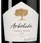 Красное вино Чили пино нуар Pinot Noir