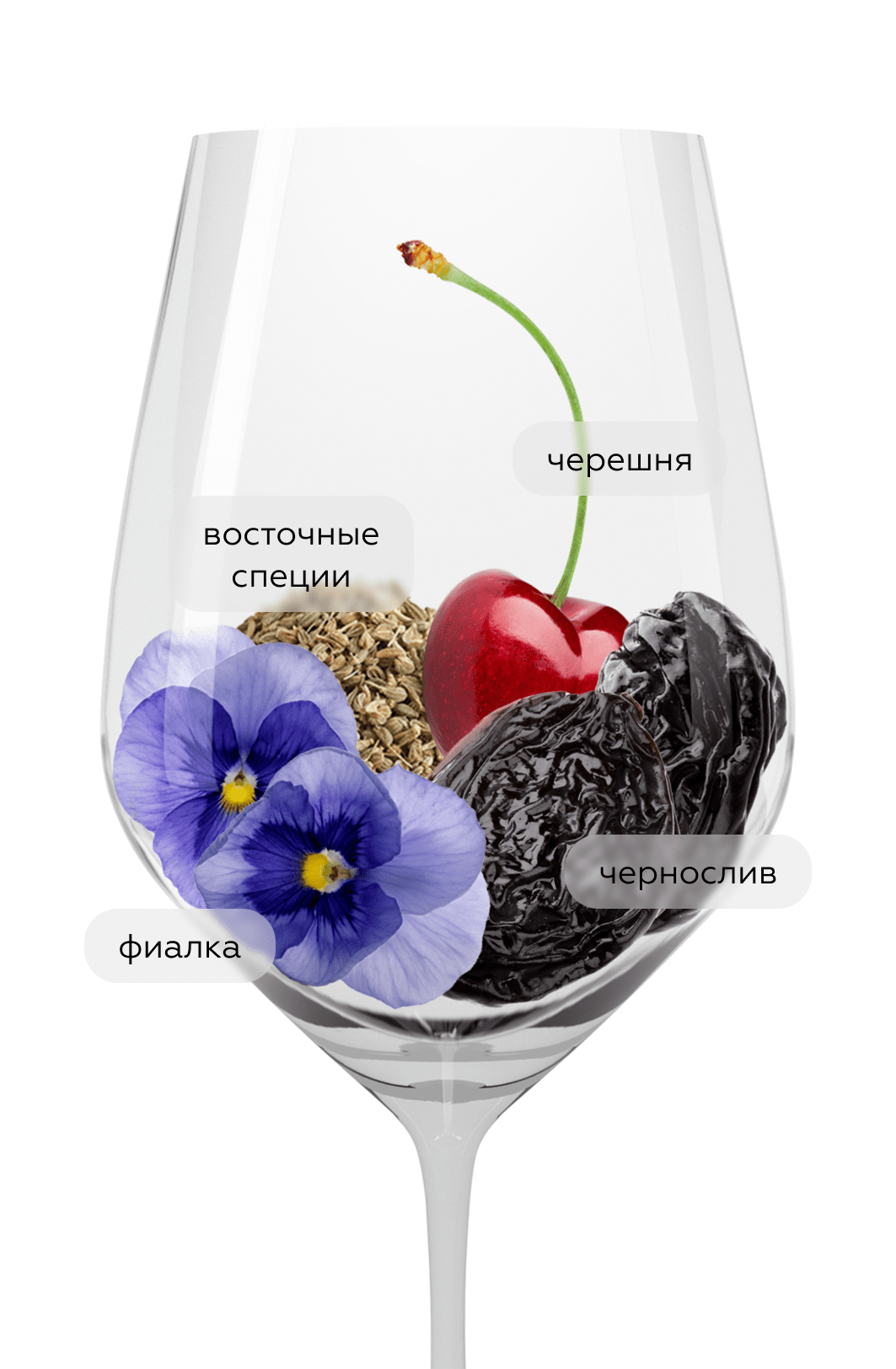 Вино Amarone della Valpolicella Classico в подарочной упаковке, Domini Veneti, 2021, (151446), Италия, Венето, красное, полусухое, 0.75 л, Амароне делла Вальполичелла Классико, цена 12490 рублей