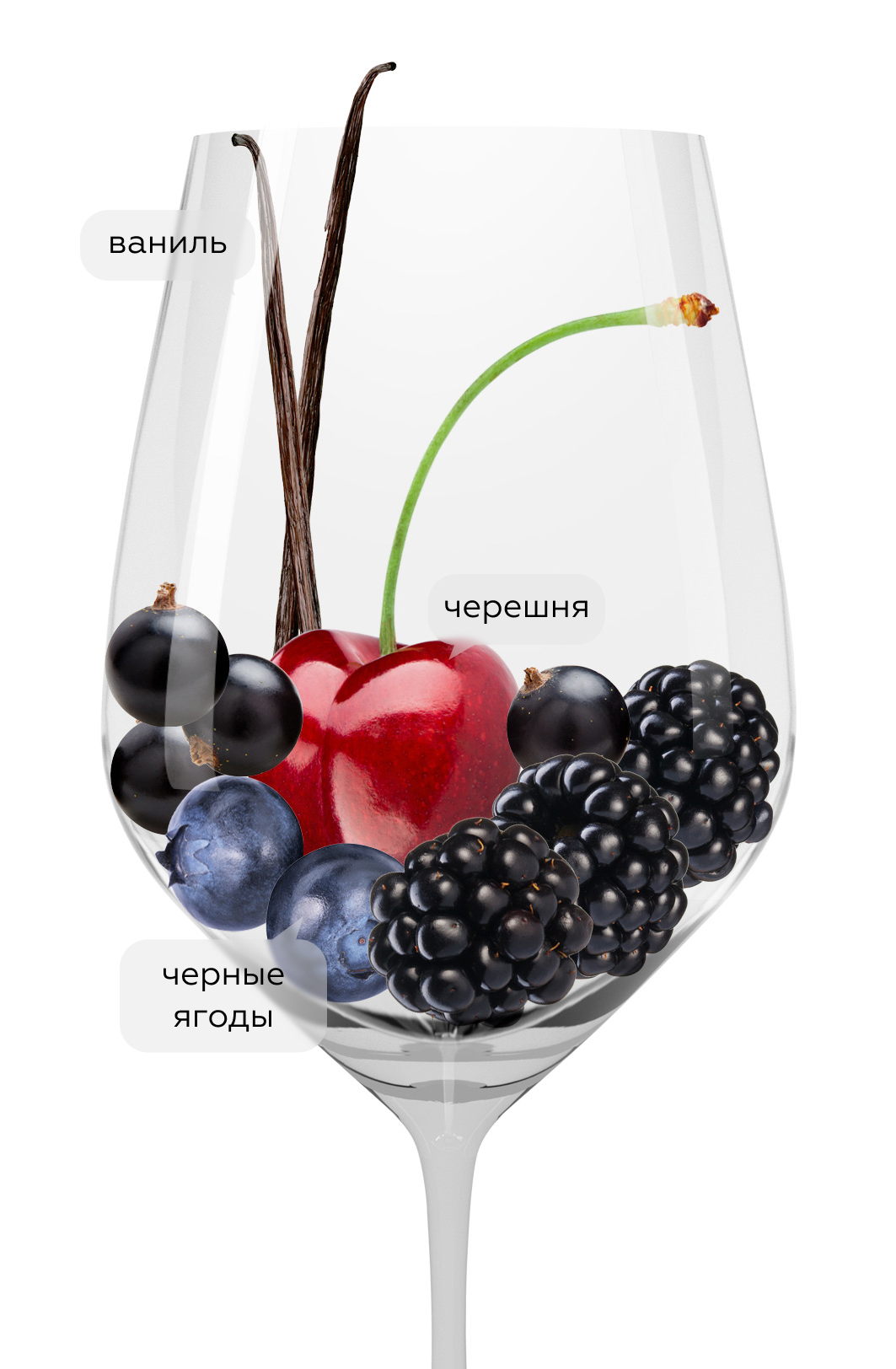 Вино Fontegaia Montepulciano D'Abruzzo, San Marco, 2022, (144718), Италия, Абруццо, красное, сухое, 0.75 л, Фонтегайа Монтепульчано д'Абруццо, цена 1990 рублей