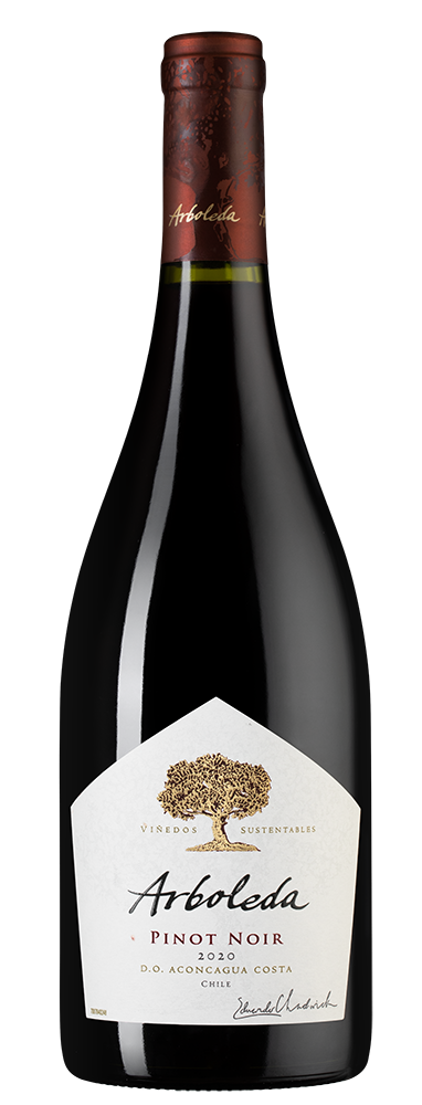Вино Pinot Noir, Vina Arboleda, 2020, (135928), Чили, Аконкагуа, красное, сухое, 0.75 л, Пино Нуар, цена 5490 рублей