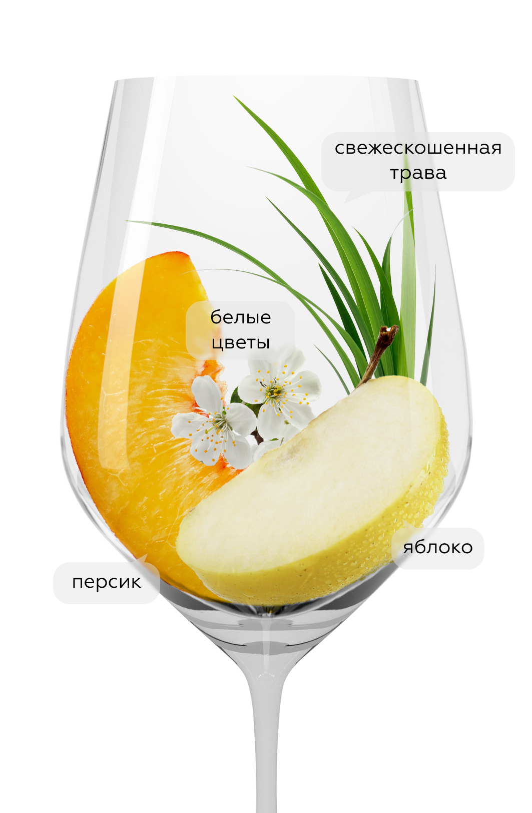 Вино Gavi Villa Scolca, La Scolca, 2021, 0.375л, (137541), Италия, Пьемонт, белое, сухое, 0.375 л, Гави Вилла Сколька, цена 2790 рублей