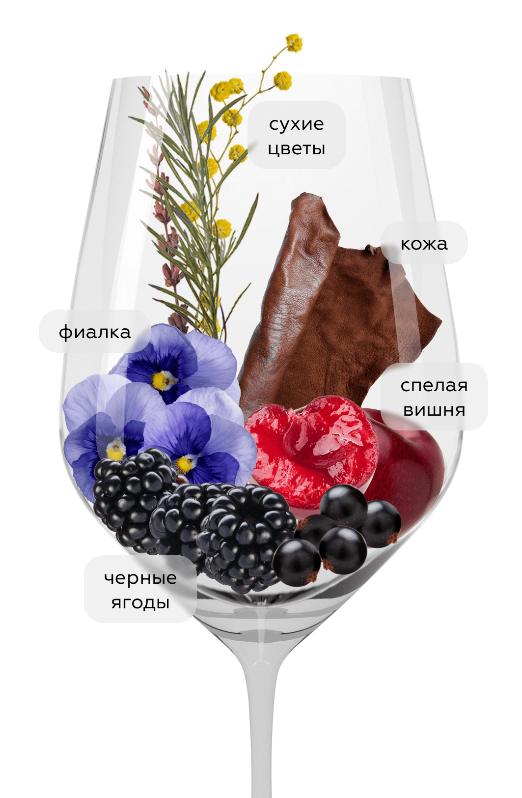 Вино Zanna, Dino Illuminati, 2018, (144505), Италия, Абруццо, красное, сухое, 0.75 л, Дзанна, цена 8490 рублей