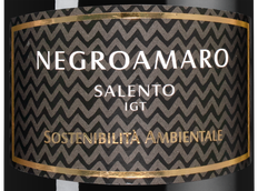 Вино с шелковистым вкусом Negroamaro Rosso Feudo Monaci