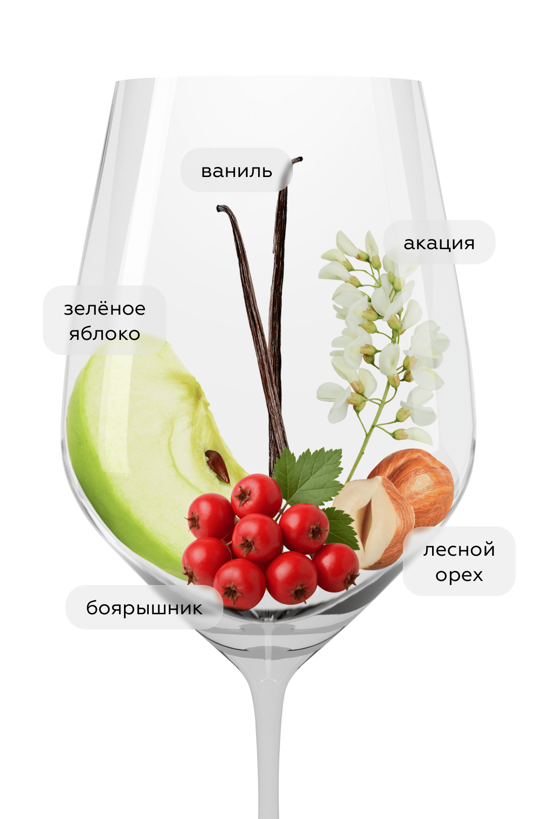 Вино Saint-Romain, Patriarche, 2019, (152960), Франция, Бургундия, белое, сухое, 0.75 л, Сен-Ромен, цена 8990 рублей