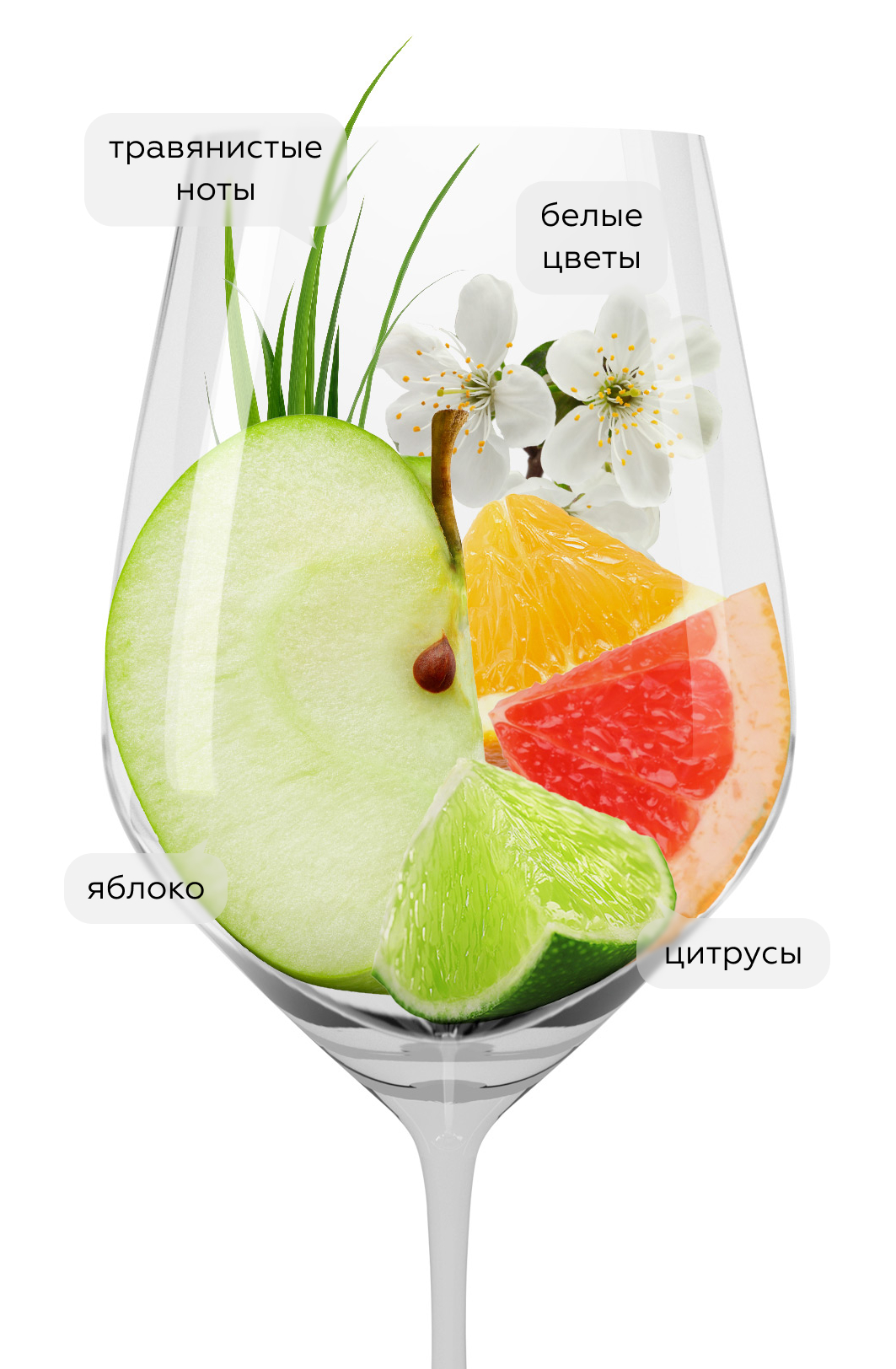 Игристое вино Aliboitboit Blanc, Domaine Agnes Paquet, (150037), Франция, Бургундия, белое, экстра брют, 0.75 л, Алибуабуа Блан, цена 5990 рублей