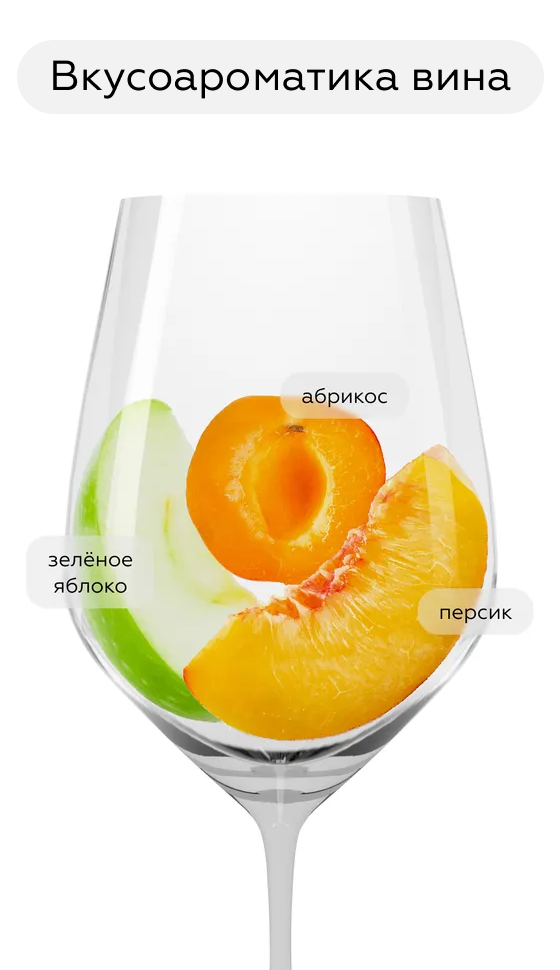 Игристое вино Haus Osterreich Cuvee Riesling Sekt, Winzer Krems, (159001), Австрия, Нижняя Австрия, белое, брют, 0.75 л, Рислинг Зект Кюве Хаус Остеррайх, цена 4190 рублей