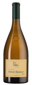 Pinot Bianco