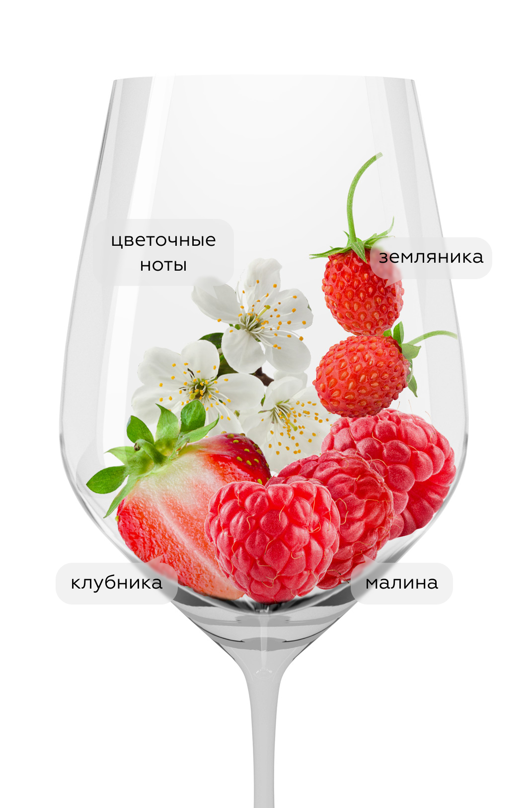 Шампанское Rose Brut, Chanoine Freres, (157988), Франция, Шампань, розовое, брют, 0.75 л, Розе Брют, цена 10490 рублей