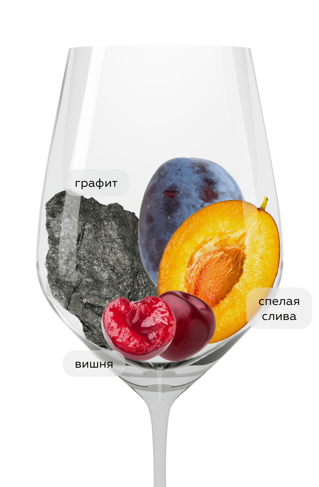 Вино Carolina Anniversary Limited Edition, Santa Carolina, 2022, (152737), Чили, Центральная Долина, красное, сухое, 0.75 л, Каролина Энниверсари, цена 2990 рублей