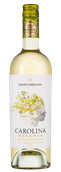 Carolina Reserva Sauvignon Blanc