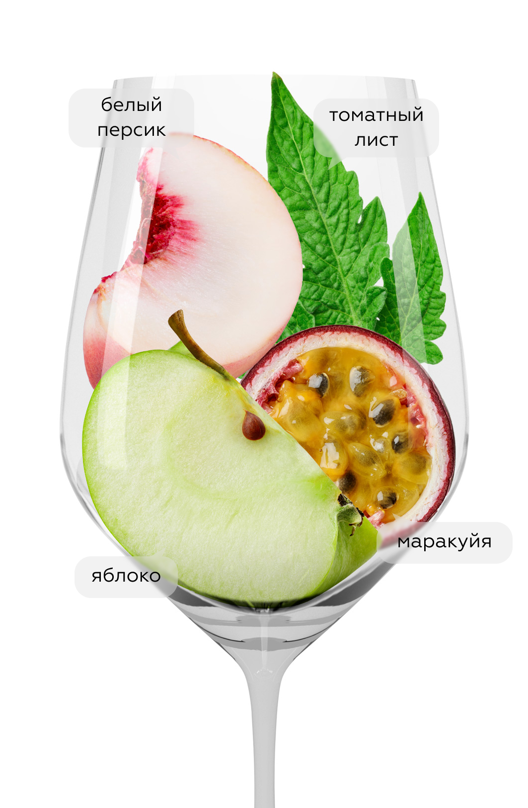 Вино Петрикор Совиньон Блан, Шумринка, 2024, (157507), Россия, Кубань, белое, сухое, 0.75 л, Петрикор Совиньон Блан, цена 2490 рублей