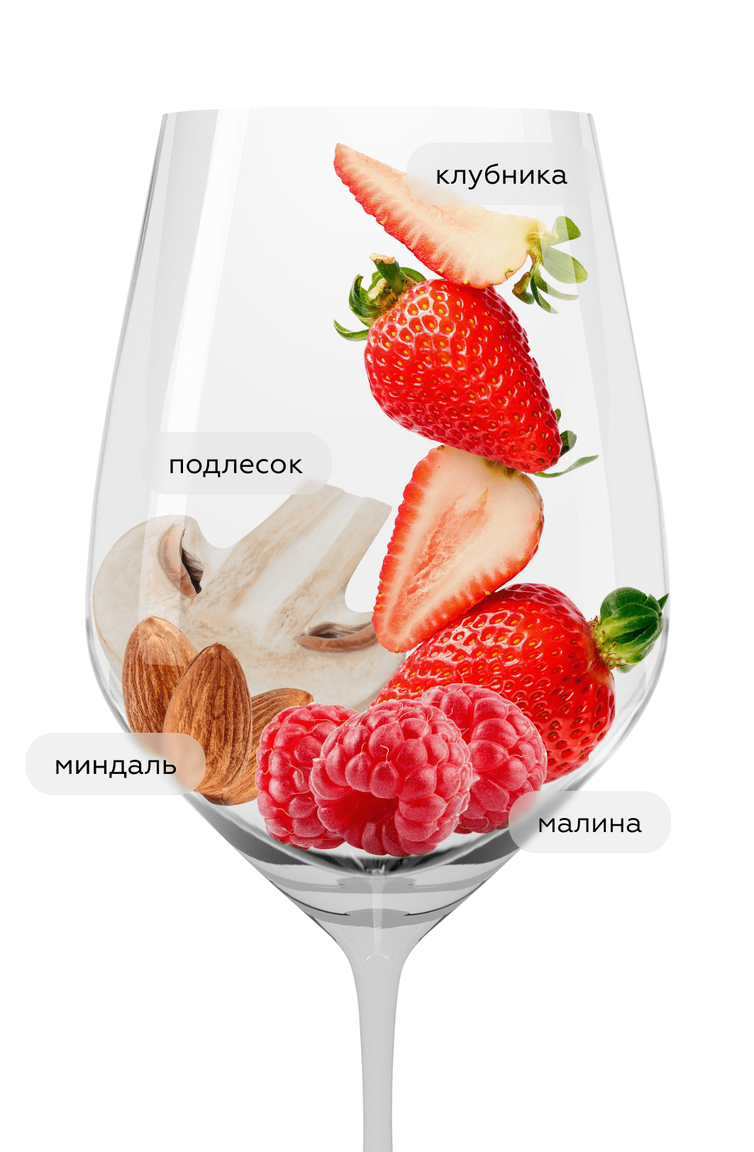 Вино Dogliani, Poderi Luigi Einaudi, 2023, (159703), Италия, Пьемонт, красное, сухое, 0.75 л, Дольяни, цена 5490 рублей