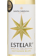 Вино Estelar Sauvignon Blanc, (139011), белое сухое, 2021 г., 0.75 л, Эстелар Совиньон Блан цена 1190 рублей