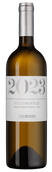 Chardonnay