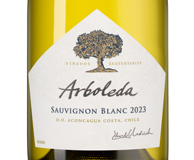 Вино Sauvignon Blanc, (146458), белое сухое, 2023 г., 0.75 л, Совиньон Блан цена 3490 рублей