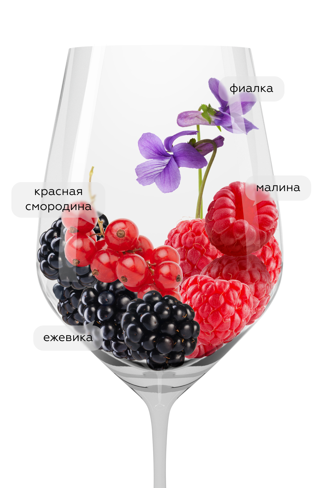 Вино Beaujolais-Villages, Joseph Drouhin, 2022, (153335), Франция, Бургундия, красное, сухое, 0.75 л, Божоле-Вилляж, цена 4990 рублей