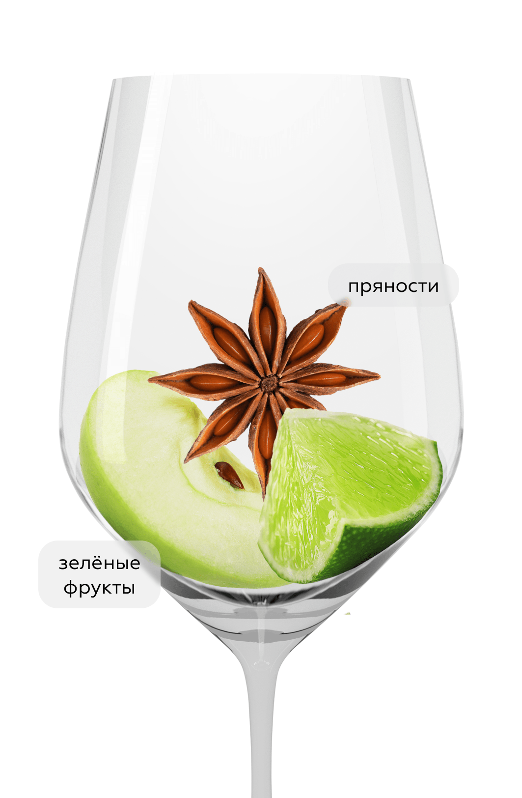 Вино Pinot Grigio Muzzi, Origin Wine Stellenbosch, 2024, (150849), Южная Африка, Стелленбош, белое, сухое, 0.75 л, Муцци Пино Гриджио, цена 1440 рублей