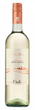 Вино Trebbiano - Pinot Grigio, (125849), белое полусухое, 2020 г., 0.75 л, Виамаре Треббьяно Пино Гриджо цена 1090 рублей