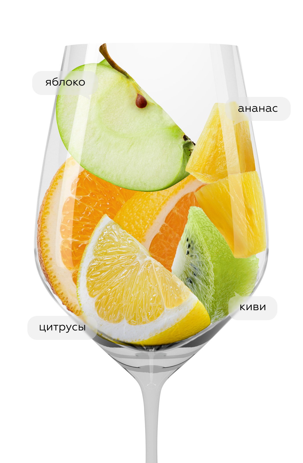 Вино Albizzia, Frescobaldi, 2024, (159131), Италия, Тоскана, белое, сухое, 0.75 л, Альбицция, цена 2990 рублей