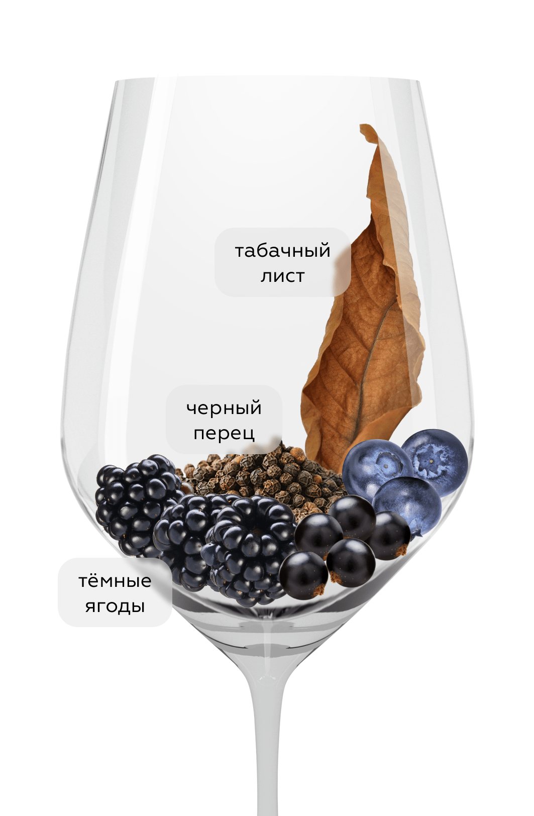 Вино Noseworthy Shiraz, Austwine Exports, 2024, (156705), Австралия, Юго-Восточная Австралия, красное, полусухое, 0.75 л, Ноузворси Шираз, цена 1890 рублей
