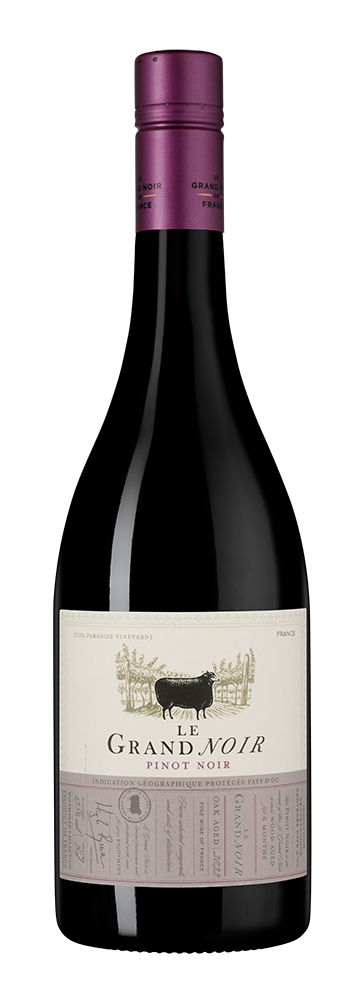 Вино Le Grand Noir Pinot Noir, 2022, (144248), Франция, Лангедок-Руссильон, красное, полусухое, 0.75 л, Ле Гран Нуар Пино Нуар, цена 1272 рублей