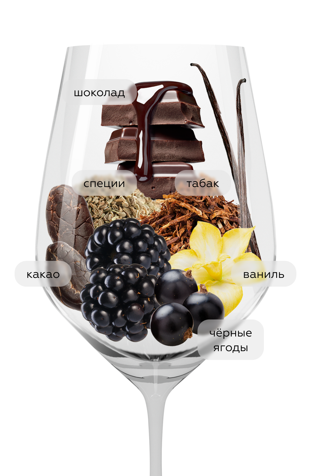 Вино Hacienda Lopez de Haro Graciano, 2021, (141169), Испания, Риоха, красное, сухое, 0.75 л, Риоха Грасиано, цена 2990 рублей