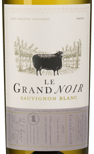 Вино Le Grand Noir Sauvignon Blanc, (141259), белое сухое, 2022 г., 0.75 л, Ле Гран Нуар Совиньон Блан цена 1590 рублей